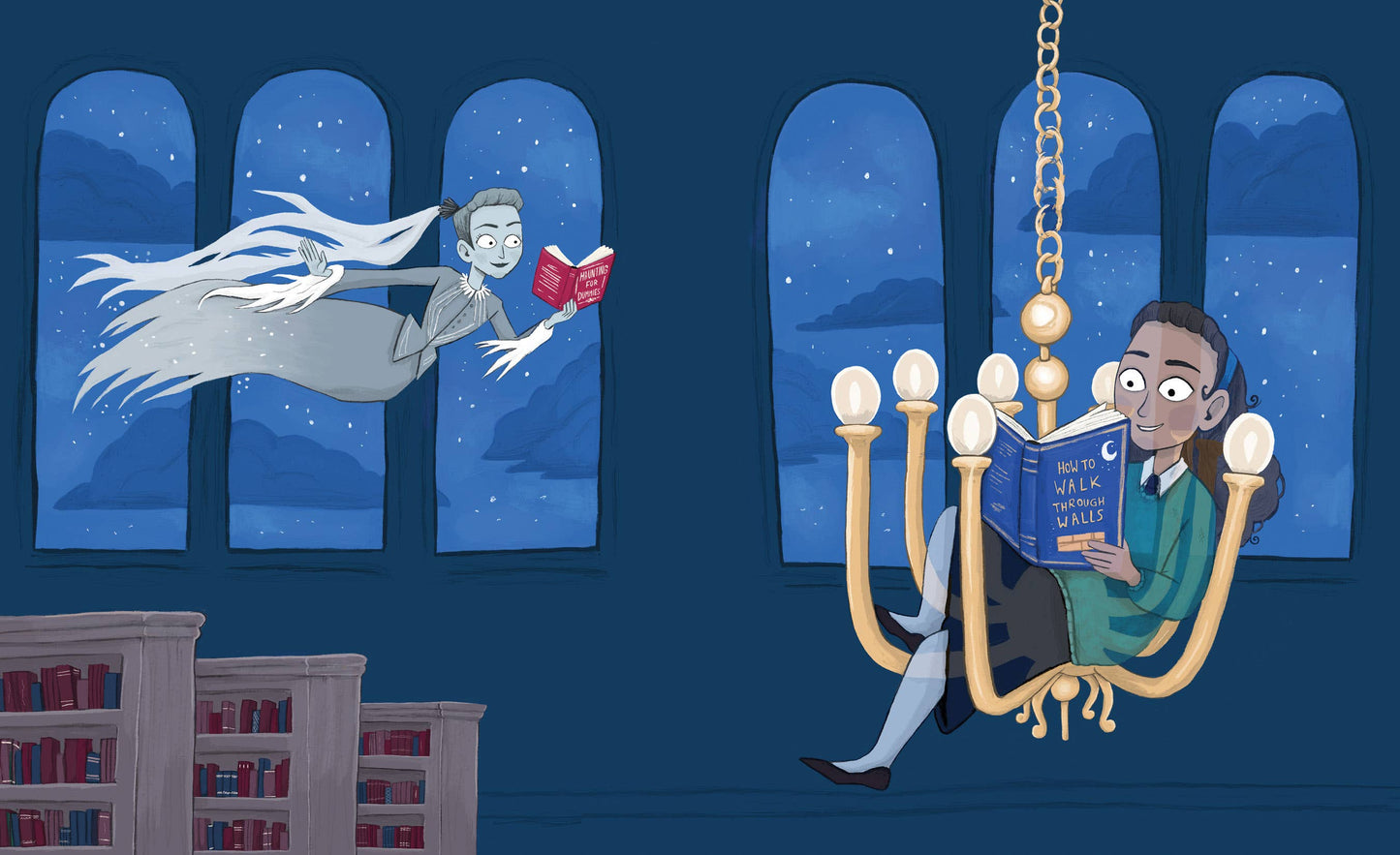 The Lady of the Library Picture Book