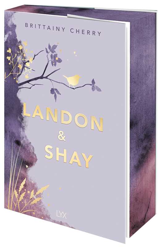 Landon & Shay by Brittainy  Cherry: Paperback; 416 pages / English