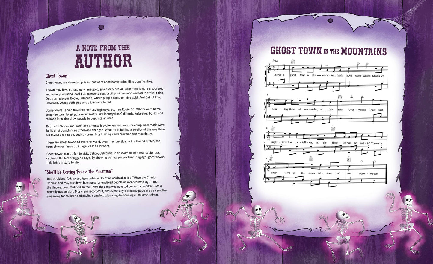 Ghost Town in the Mountains Picture Book