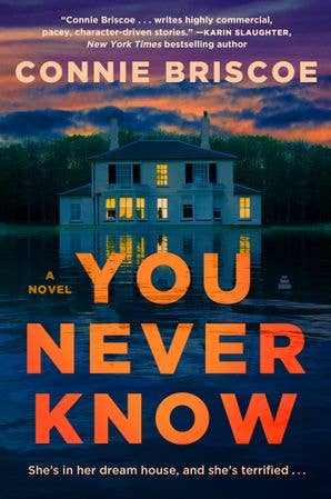 You Never Know : Connie Briscoe