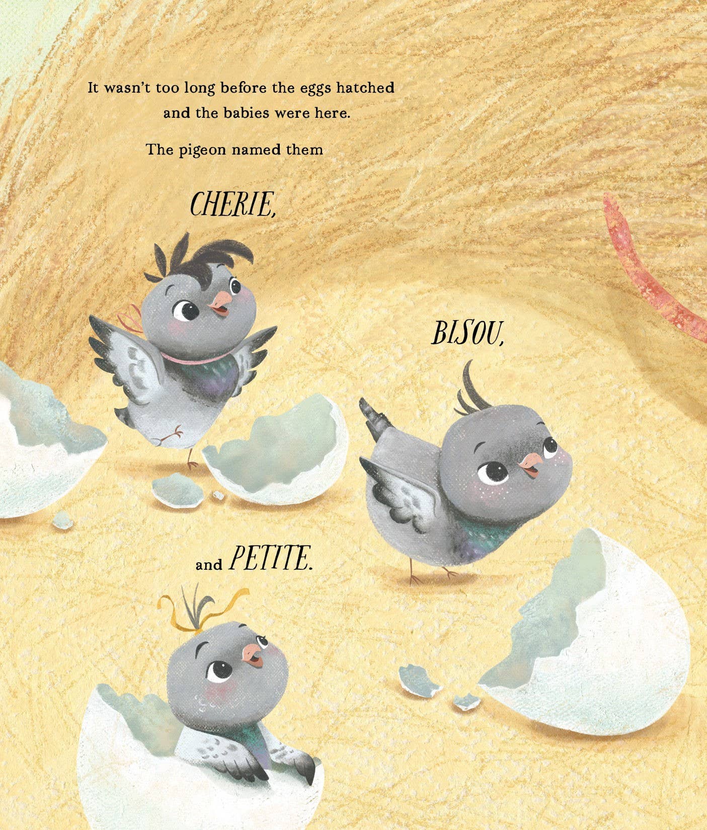 A Pigeon in Paris: Petite Takes Flight Picture Book